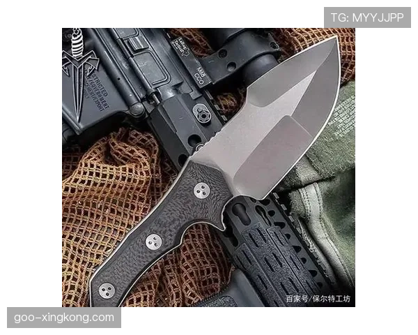 维蒂尼亚的上限是否受制于技术特点与战术适配性