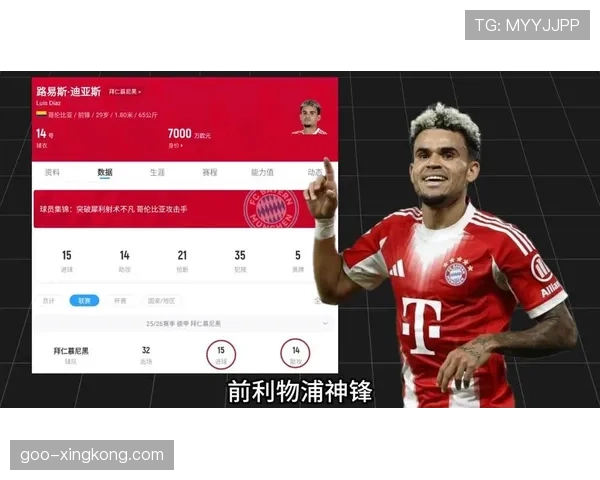 葡萄牙队2026世界杯J组出线形势解析