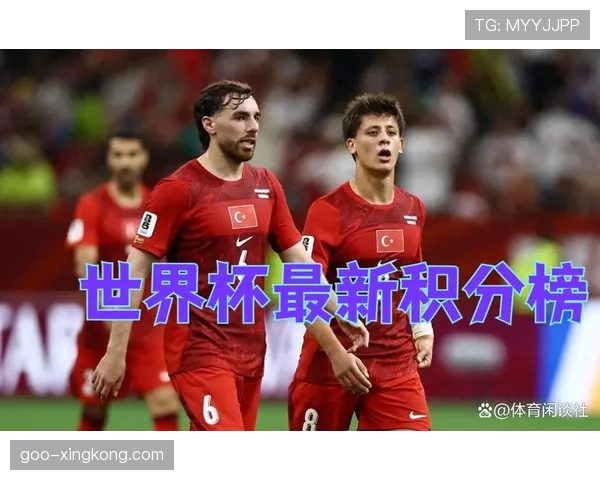 澳大利亚世界杯D组成绩：一胜一平一负排名第二